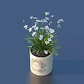 Bonsai Potted Plant With Small White Flowers Green Grass And Light Textured Pot