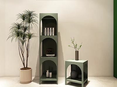 Green Arch Design Bookshelf with Shelves Plants and Decor in Light Room 3d model