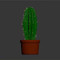 Green Cactus Plant with Spines in Brown Terracotta Pot on Gray Background