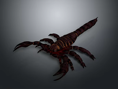 3D Rendered Dark Brown Scorpion With Claws Tail Stinger And Gray Gradient Background 3d model