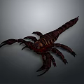 3D Rendered Dark Brown Scorpion With Claws Tail Stinger And Gray Gradient Background