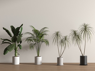 green plant potted floor plant 3d model