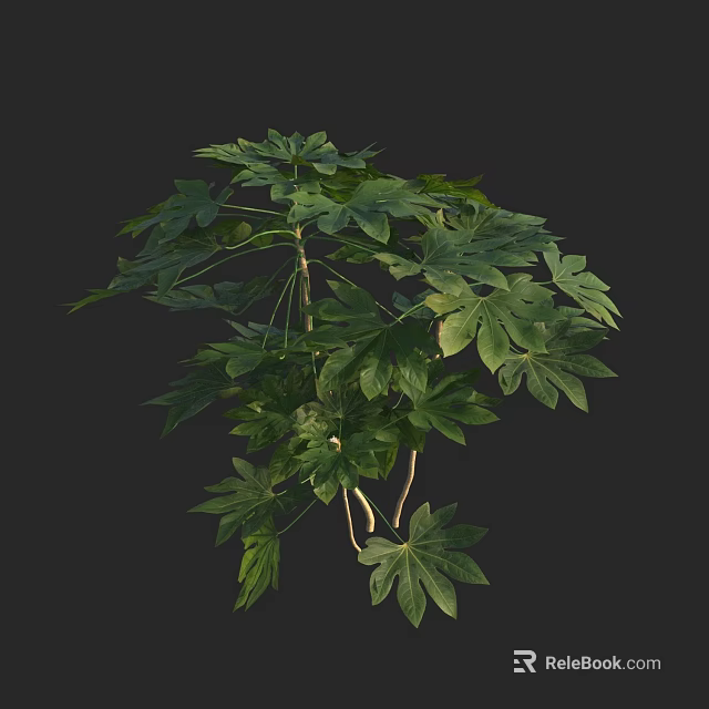 Lush Green Shrub With Broad Leaves And Dense Foliage For Garden Landscaping 3d model 