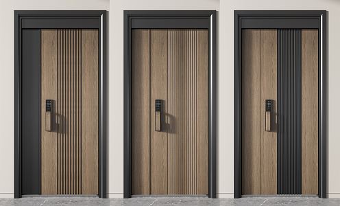 Modern security door entry security door 3d model