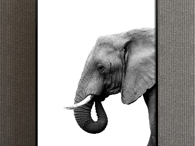 Modern Animal Painting Black and White Children's Room Animal Elephant Decorative Painting model