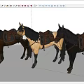 Three Saddled Horses With Different Colors Standing On White Background