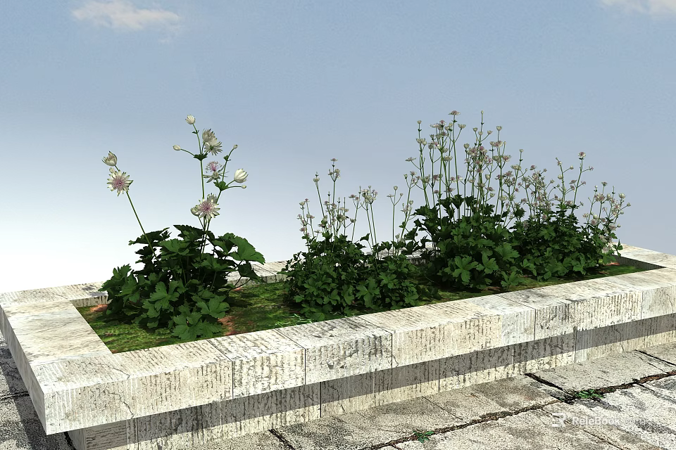 Green Herbs And White Small Flowers In Stone Planter Under Blue Sky 3d model 