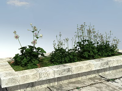 Green Herbs And White Small Flowers In Stone Planter Under Blue Sky 3d model
