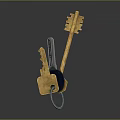 Everyday Use Keychain With Golden Silver Keys And Black Holder For Daily Essentials