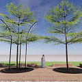 Illuminated Arbor Trees With Circular Lights On Night Wooden Deck And Person In White Dress