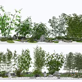Serene Garden Feature Design With Bamboo Stones And Various Green Plants