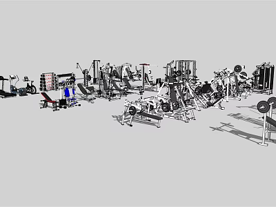 Comprehensive Gym Sports Equipment Set With Weight Benches Dumbbells Treadmills Racks 3d model
