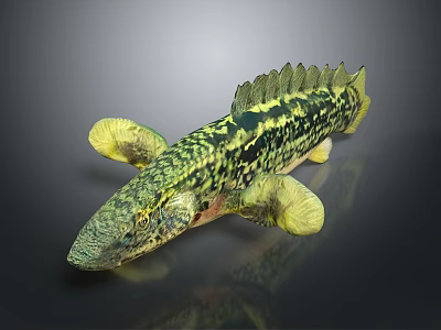 Prehistoric Aquatic Reptile 3D Model With Green Yellow Spotted Skin Flipper Limbs And Serrated Dorsal Fin 3d model