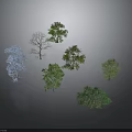Various Forms And Colors Of Trees Including Blue Green And Leafless On Gray Background