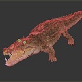 Modern crocodile Alligator Nile crocodile 3d model