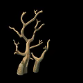 Twisted Rustic Natural Dry Wooden Branches Decorative Element With Black Background