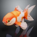 Vivid orange and white goldfish with shiny scales and large flowing tail on black background