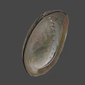 Iridescent Seashell Food Serving Dish With Shiny Surface And Decorative Design