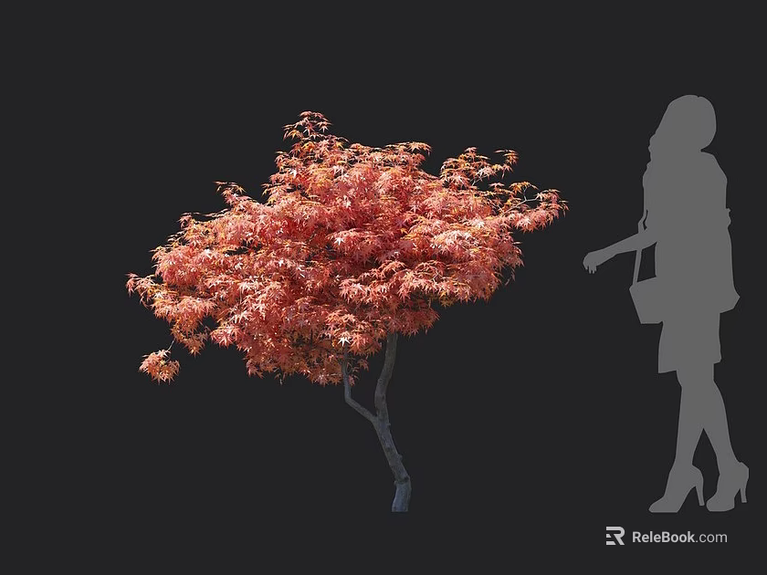 Vibrant Red Leaf Tree Beside Woman Silhouette With Dress And High Heels On Black Background 3d model 