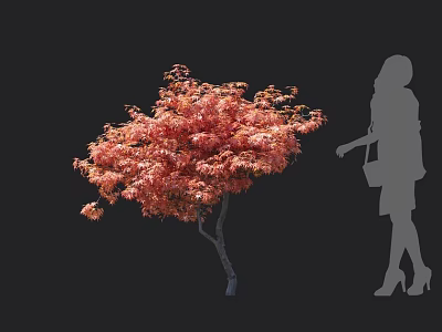 Vibrant Red Leaf Tree Beside Woman Silhouette With Dress And High Heels On Black Background 3d model