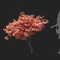 Vibrant Red Leaf Tree Beside Woman Silhouette With Dress And High Heels On Black Background