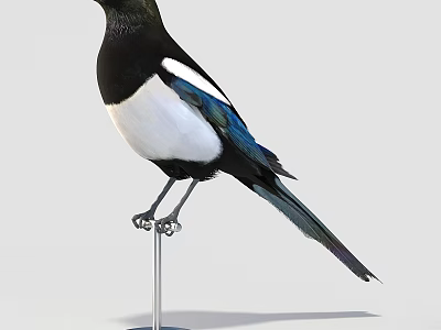 Exotic Reptile With Black White Blue Scales Standing On Metal Stand 3d model