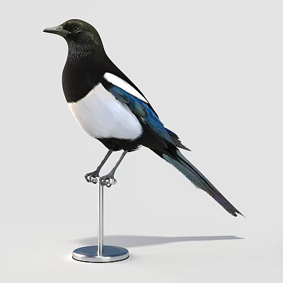Exotic Reptile With Black White Blue Scales Standing On Metal Stand 3d model