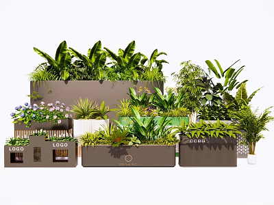 Decorative Potted Plants Display With Various Green Plants In Stylish Rectangular Pots 3d model