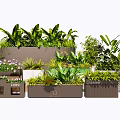 Decorative Potted Plants Display With Various Green Plants In Stylish Rectangular Pots 3d model
