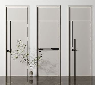 Modern swing door 3d model