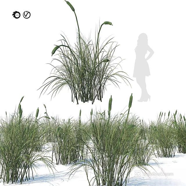 Natural Garden Decorative Grass Clumps With Green Leaves And Landscape Design 3d model 