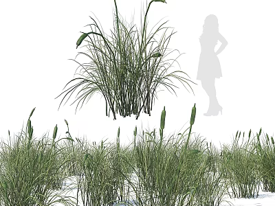 Natural Garden Decorative Grass Clumps With Green Leaves And Landscape Design 3d model