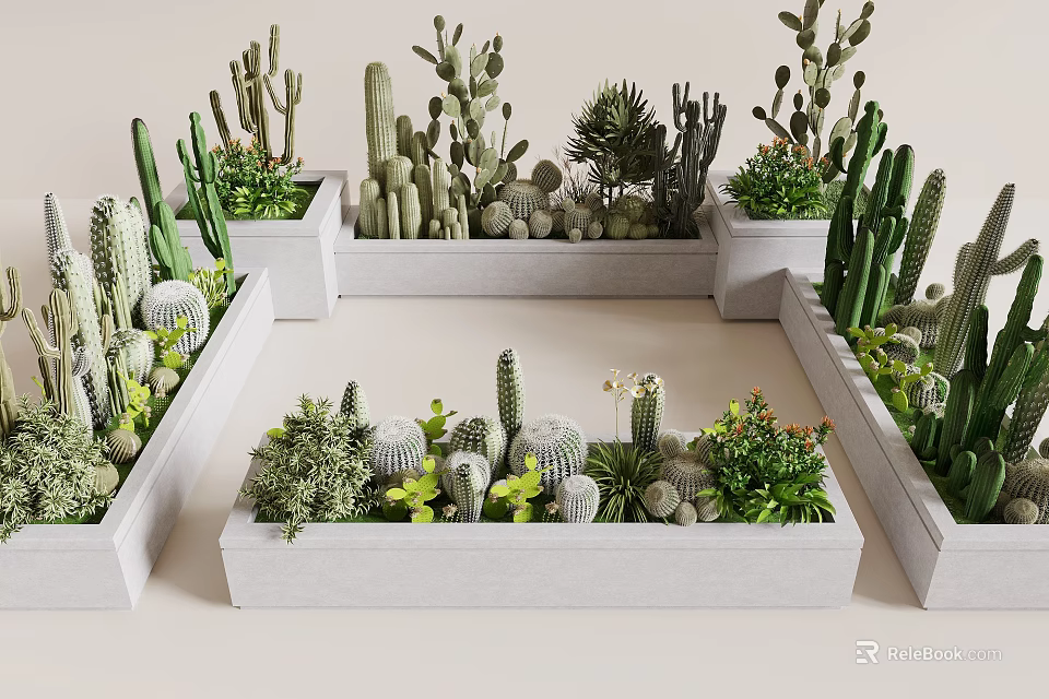 Creative Garden Decor Arrangement With Cacti And Succulents In White Rectangular Planters 3d model