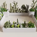 Creative Garden Decor Arrangement With Cacti And Succulents In White Rectangular Planters 3d model