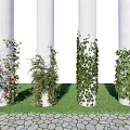Various Decorative Vines Growing On White Columns With Green Grass And Stone Pavement