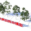 Modern Birch Trees 3D Models Featuring Realistic Design And Detailed Foliage 3d model