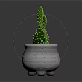 Green Cactus Plant with Yellow Dots in White Pot with Black Spots and Three Feet
