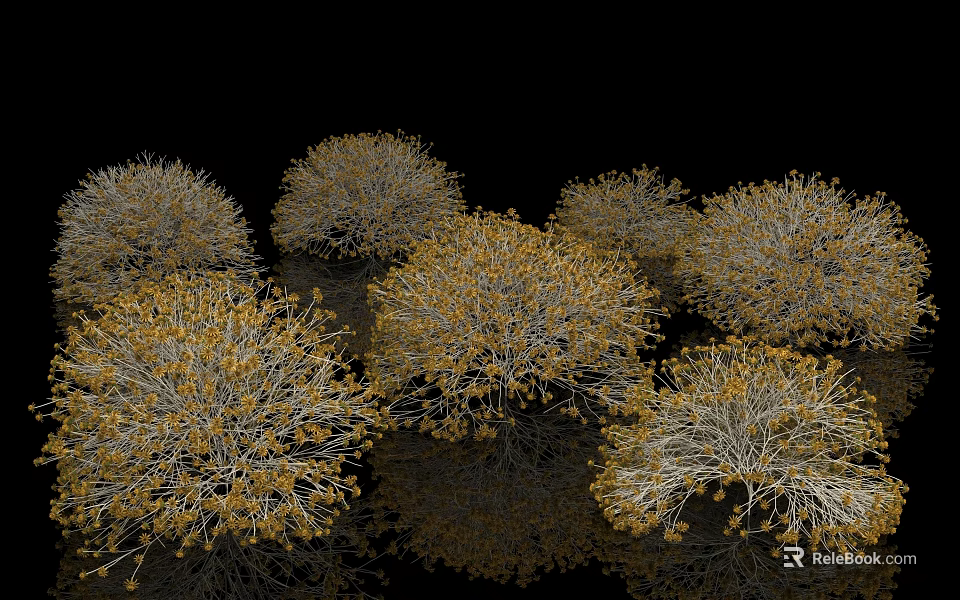 Golden Brown Bushes 3D Rendered on Black Background with Foliage Details 3d model 