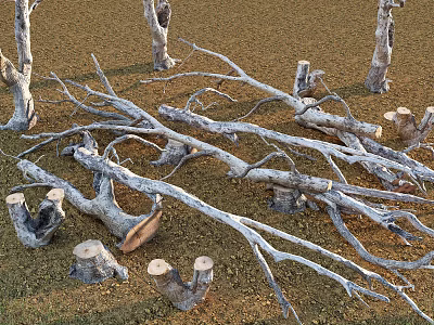 Natural Stone And Dry Wood Logs Stumps Scattered On Ground 3d model