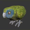 Vibrant Green Parrot with Colorful Feathers Red Eyes and Grey Claws Standing On Black Surface