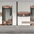 Modern shoe cabinet shoe cabinet combination 3d model