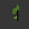 Lifelike Green Praying Mantis Perched On Thin Branch With Fresh Green Leaves