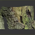 Natural Stone Wood Decorative Sculpture With Mossy Surface and Rough Texture
