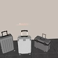 Three Modern Hard Shell Suitcases in Silver White Gray with Spinner Wheels and Telescopic Handles