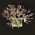 Elegant Bonsai Tree With Pink Flowers Green Grass And Purple Small Flowers