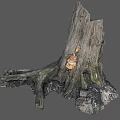 tree root broken tree 3d model