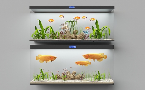 modern aquarium 3d model