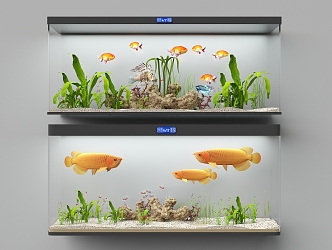 modern aquarium 3d model