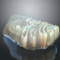 Unique Stone Wood Carved Texture With Glossy Surface And Natural Design