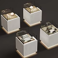 Modern Display Cases With Glass Covers And Concrete Bases For Exhibits